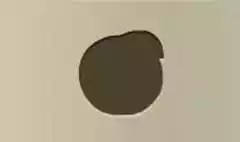 桃