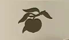 桃