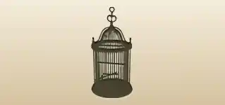Birdcage silhouette