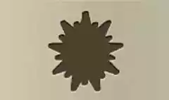 太陽