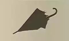 かさ