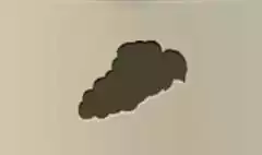 ブドウ