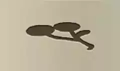 さくらんぼ