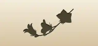 Bluebell silhouette