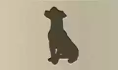 イヌ