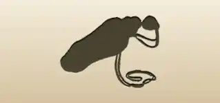 Vial of Potion silhouette