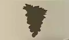 ブドウ