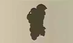 ブドウ
