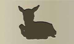 Baby Goat silhouette