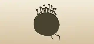 Pincushion silhouette