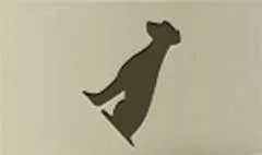 イヌ