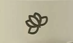 蓮