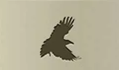 Crow