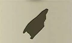 Bat