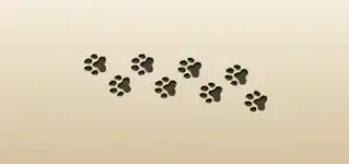 Paw Prints silhouette