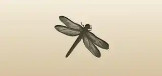 Dragonfly silhouette