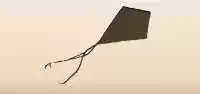 Kite