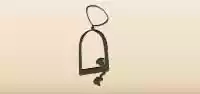 Bird Swing