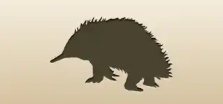 Echidna silhouette