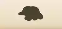 Echidna