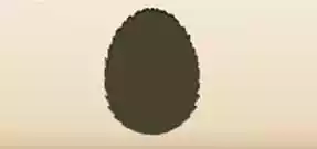 Dragon Egg