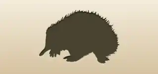 Echidna silhouette