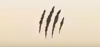 Scratches