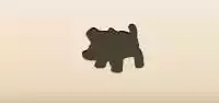 Piggy