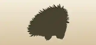 Echidna silhouette