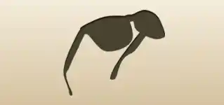 Sunglasses silhouette
