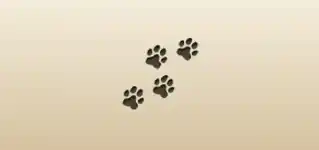 Paw Prints silhouette