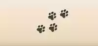 Paw Prints