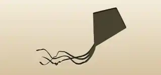 Kite silhouette