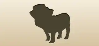 Piggy silhouette