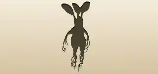 Mandrake Root silhouette
