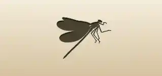Dragonfly silhouette
