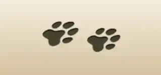 Paw Prints silhouette