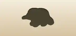 Echidna silhouette