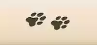 Paw Prints