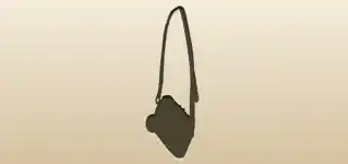 Camera silhouette