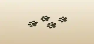 Paw Prints silhouette