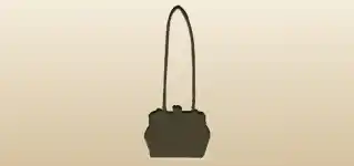 Handbag silhouette