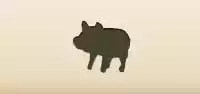 Piggy