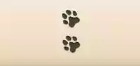 Paw Prints