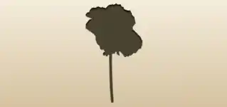 Cabbage silhouette