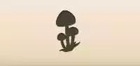 Mushrooms