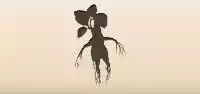 Mandrake Root