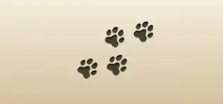 Paw Prints silhouette