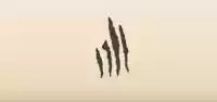 Scratches