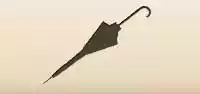 Parasol